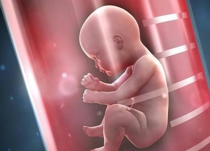 宁波第三代试管的价格能达到多少？