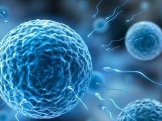 2026年甲亢在潍坊市人民医院做试管的费用高吗？明细是怎么样的？