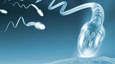 吉尔吉斯斯坦三代试管医院选择与胚胎植入前遗传学诊断的重要性解析