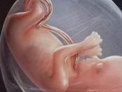 今日美国试管婴儿医院排名，那这几个医院的试管技术怎么样呢？