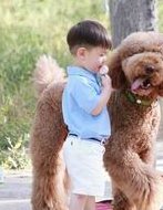 惠州三级医院三代试管婴儿费用是多少？