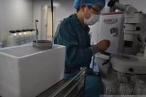 2026年无结婚证做试管要多少钱？江门市妇幼大概要十二万左右