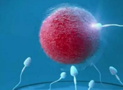 2026无锡生育机构实力榜单揭晓：揭秘四家高成功率优质助孕品牌