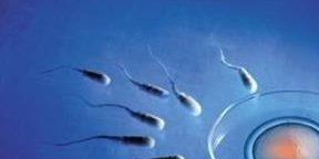 乌克兰最强三代试管婴儿医院排名更新乌克兰三代试管婴儿医院前三名公布