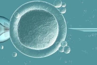 杭州私立试管助孕机构最新名单公布，三代试管助孕生孩子收费标准更新